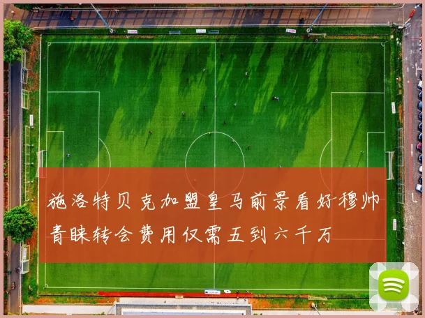 施洛特贝克加盟皇马前景看好穆帅青睐转会费用仅需五到六千万