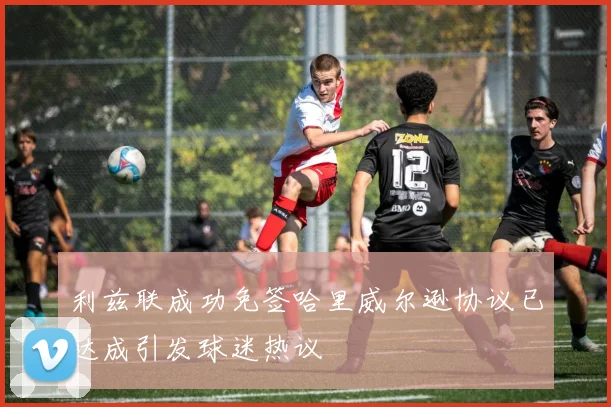 利兹联成功免签哈里威尔逊协议已达成引发球迷热议